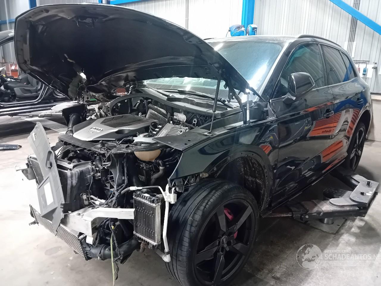 Audi SQ5 SQ5 (FYB/FYG) SUV 3.0 TFSI V6 24V (CWGD) [260kW]  (11-2016/...)