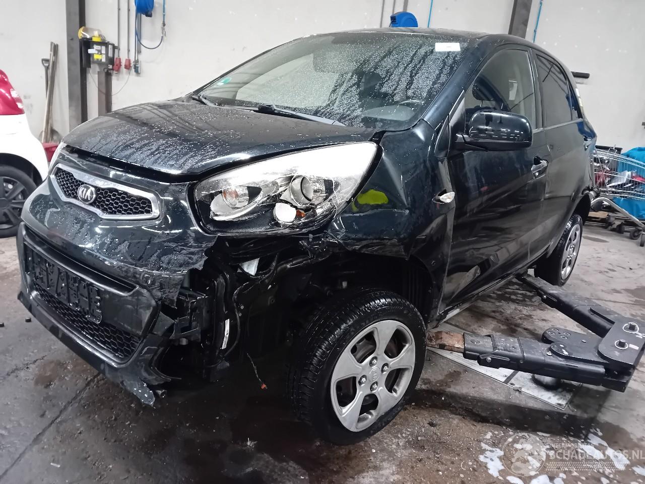 Kia Picanto Picanto (TA) Hatchback 1.0 12V (G3LA) [51kW]  (05-2011/06-2017)