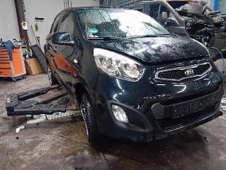 Kia Picanto Picanto (TA) Hatchback 1.0 12V (G3LA) [51kW]  (05-2011/06-2017) picture 2