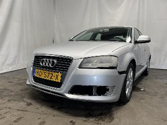 škoda osobní automobily Audi A3 A3 Sportback (8PA) Hatchback 5-drs 1.9 TDI (BLS) [77kW]  (09-2004/05-2=
010) 2008/9