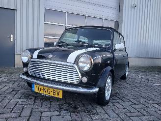 Avarii autoturisme Rover Mini Mini Sedan 1300 Cooper (12A2AF53) [45kW]  (01-1991/12-1991) 1994/2
