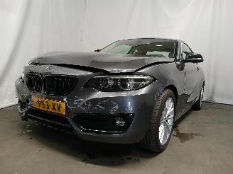 Voiture accidenté BMW 2-serie 2 serie (F22) Coupé 218i 1.5 TwinPower Turbo 12V (B38-B15A) [100kW] =
 (03-2015/06-2021) 2018/5