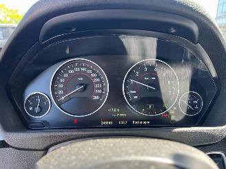 BMW 3-serie 3 serie Gran Turismo (F34) Hatchback 320i 2.0 16V (N20-B20B) [135kW]  =
(03-2013/06-2016) picture 2