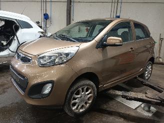 demontáž osobní automobily Kia Picanto Picanto (TA) Hatchback 1.0 12V (G3LA) [51kW]  (05-2011/06-2017) 2011/12
