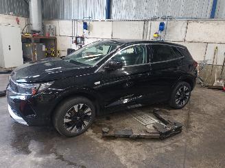 rozbiórka samochody osobowe Opel Grandland Grandland (X) SUV 1.2 Turbo 12V (HNS) [96kW]  (07-2018/...) 2023