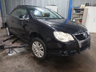Volkswagen Eos Eos (1F7/F8) Cabrio 1.6 FSI 16V (BLF(Euro 4)) [85kW]  (06-2006/05-2008=
) picture 2