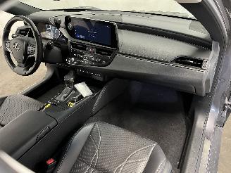 Lexus ES ES Sedan 300h 2.5 16V (A25A-FXS) [160kW]  (07-2018/...) picture 17