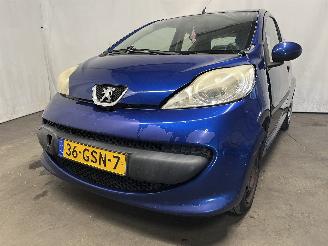 škoda osobní automobily Peugeot 107 107 Hatchback 1.0 12V (384F(1KR)) [50kW]  (06-2005/05-2014) 2008/9