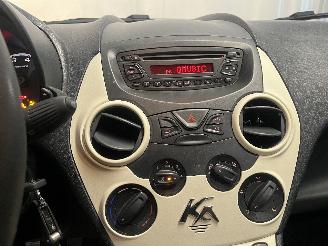 Ford Ka Ka II Hatchback 1.2 (169.A.4000(Euro 4; Euro 5)) [51kW]  (10-2008/05-2=
016) picture 13