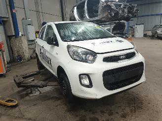 Kia Picanto Picanto (TA) Hatchback 1.0 12V (G3LA) [49kW]  (05-2011/06-2017) picture 2
