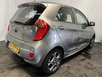 Kia Picanto Picanto (TA) Hatchback 1.0 12V (G3LA) [51kW]  (05-2011/06-2017) picture 6