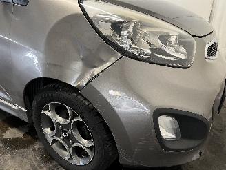 Kia Picanto Picanto (TA) Hatchback 1.0 12V (G3LA) [51kW]  (05-2011/06-2017) picture 9