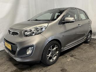 Kia Picanto Picanto (TA) Hatchback 1.0 12V (G3LA) [51kW]  (05-2011/06-2017) picture 3