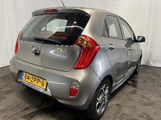 Kia Picanto Picanto (TA) Hatchback 1.0 12V (G3LA) [51kW]  (05-2011/06-2017) picture 5