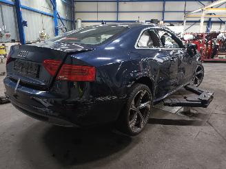 Audi A5 A5 (8T3) Coupé 2.0 FSI 16V (CDNB(Euro 5)) [132kW]  (11-2008/07-2011)= picture 3