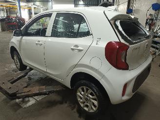Kia Picanto Picanto (JA) Hatchback 1.0 12V (G3LA) [49kW]  (03-2017/...) picture 4
