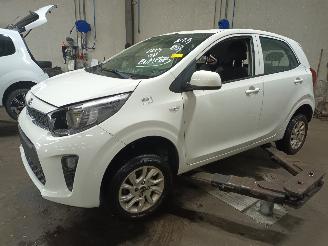 Auto da rottamare Kia Picanto Picanto (JA) Hatchback 1.0 12V (G3LA) [49kW]  (03-2017/...) 2018/6