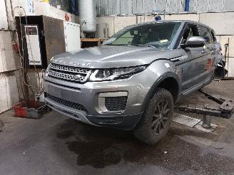 Vrakbiler auto Land Rover Range Rover Evoque Range Rover Evoque (LVJ/LVS) SUV 2.0 eD 150 16V (204DTD(AJ20D4)) [110k=
W]  (06-2015/12-2019) 2017/1