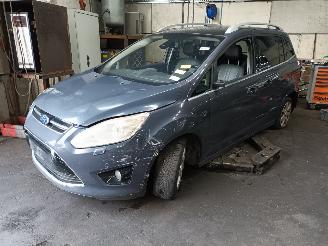 Sloopauto Ford Grand C-Max Grand C-Max (DXA) MPV 2.0 TDCi 16V (TXDB(Euro 5)) [120kW]  (12-2010/06=
-2019) 2012/7