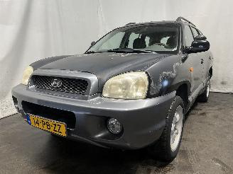  Hyundai Santa Fe Santa Fe I SUV 2.0 16V 4x2 (G4JP) [99kW]  (08-2001/02-2006) 2004/4