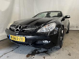 damaged passenger cars Mercedes SLK SLK (R171) Cabrio 3.5 350 V6 24V (M272.963) [200kW]  (06-2004/02-2011)= 2005/8