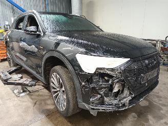 Audi E-tron e-tron (GEN) SUV 50 quattro (EASB) [230kW]  (09-2019/07-2023) picture 2