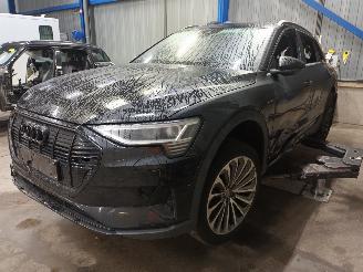 Sloopauto Audi E-tron e-tron (GEN) SUV 50 quattro (EASB) [230kW]  (09-2019/07-2023) 2020/9