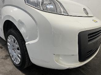 Fiat Qubo Qubo MPV 1.4 (350.A.1000) [57kW]  (10-2009/...) picture 7