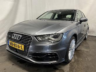 uszkodzony samochody osobowe Audi A3 A3 Sportback (8VA/8VF) Hatchback 5-drs 1.4 TFSI 16V e-tron (CUKB(Euro =
6)) [150kW]  (05-2014/10-2020) 2015/11