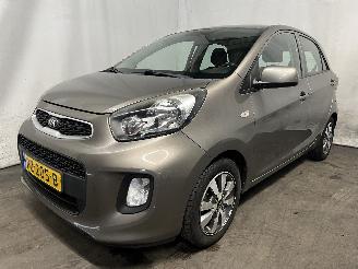 Kia Picanto Picanto (TA) Hatchback 1.0 12V (G3LA) [49kW]  (05-2011/06-2017) picture 2