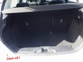 Ford Fiesta 1.0 Ecoboost Hybrid Titanium Navi picture 7