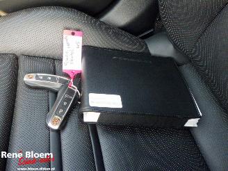 Porsche Panamera 2.9 4 E-Hybrid Platinum Edition picture 23