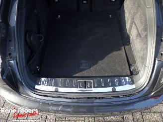 Porsche Panamera 2.9 4 E-Hybrid Platinum Edition picture 13