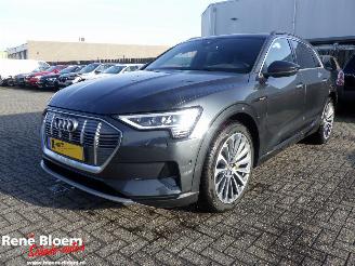 Damaged car Audi E-tron 55 Quattro 95kwh Aut 408pk 2021/1