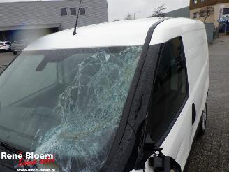 Fiat Doblo 1.6 MJ Clima picture 11