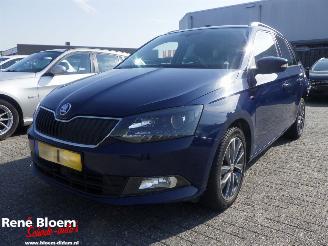 Schadeauto Skoda Fabia 1.0 TSI Drive Navi 2018/1