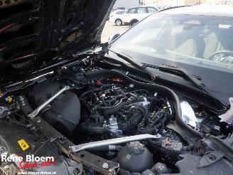 BMW 5-serie 530e Touring picture 17