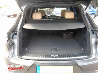 Porsche Cayenne E-HYBRID 3.0 picture 8
