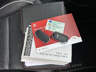 Kia e-Niro 64kWh 204pk aut + f1 DynamicPlusLine - schuifdak - nap - navi - cam - leer - stoelkoeling - stuurverw + stoelverw picture 13