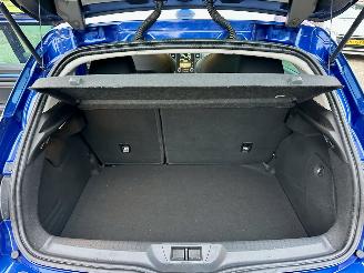 Renault Mégane 1.3 TCe Turbo 140pk 7-traps aut GT-Line - head up - bose - kuipstoelen - nav - cam - keyless - sfeerverl picture 96