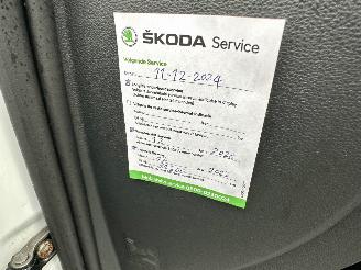 Skoda Octavia 1.0 TSI 116pk 6-bak Greentech Bus Edition Plus - xenon - virtual - camera - pdc - carplay - clima - cruise picture 59