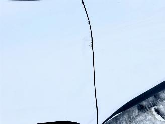 Renault Kangoo E-Tech 44kwh 122pk aut advance - nap - 2x schuifdeur - 1e eig - clima - cruise - pdc picture 75