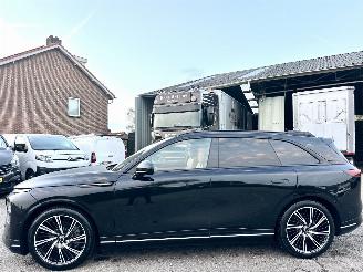 Schadeauto Xpeng G9 AWD Performance 98kWh 551pk aut 2024/6