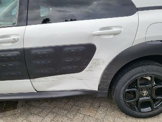 Citroën C4 cactus C4 Cactus 1.2 VTi Shine rijdbaar picture 12
