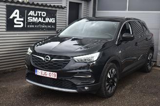 skadebil auto Opel Grandland 1.5 Turbo X Innovation 130Pk *Navi/Leder/Stoelverwarming/Camera/Panorama 2020/1