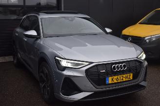Audi E-tron 55 95Kwh S Edition 408Pk *Navi/Clima/Camera/Panorama/Stoelverwarming picture 2