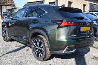 Lexus NX 300h 2.5 AWD Ultimate Edition 155Pk *Navi/Clima/Camera/Stoelverwarming picture 4