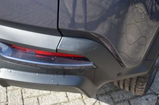 Fisker  Ocean 113Kwh Extreme 572PK *Navi/Clima/Camera/Leder/Stoelverwarming picture 18