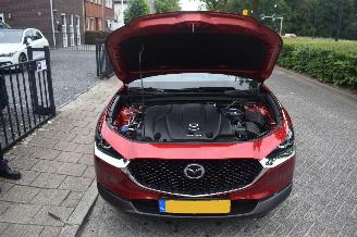 Mazda CX-30 2.0 E-skyactive-X M Hybrid AWD Luxury 179Pk *Navi/Clima/Leder picture 15