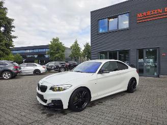 Coche accidentado BMW 1-serie 218i COUPE /  M- PERFORMANCE 2019/10